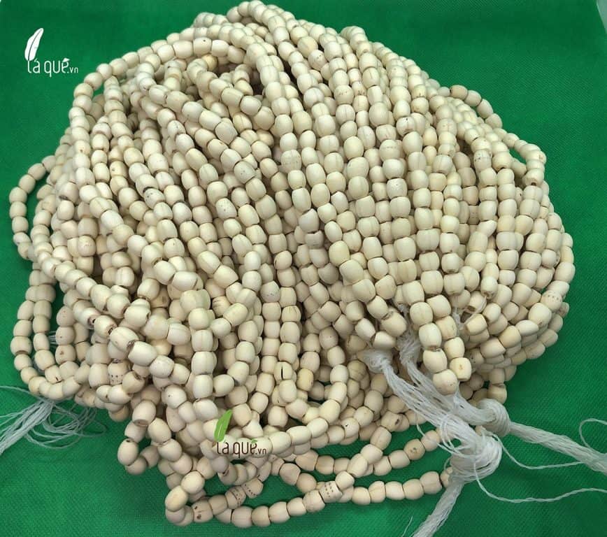 Những điều chưa biết về hạt sen khô